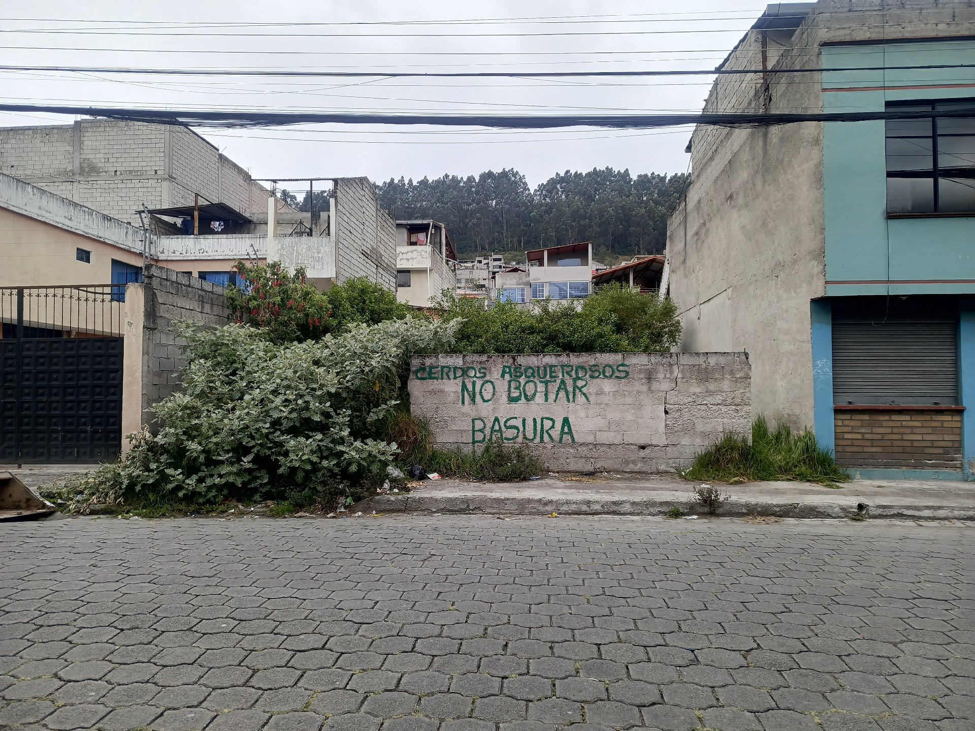 LIMPIEZA Y ADECUACIÓN DE TERRENOS