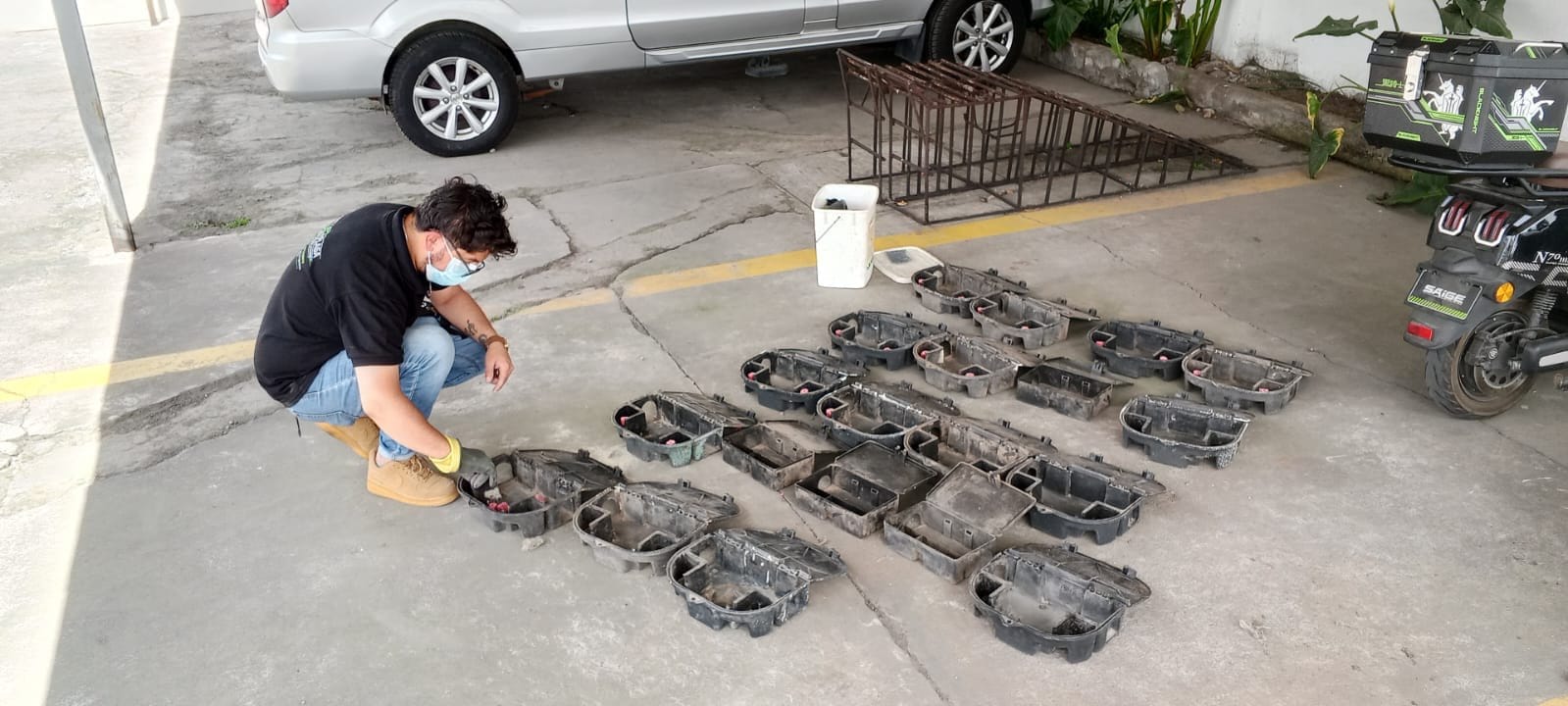 Fumigación y control de plagas
