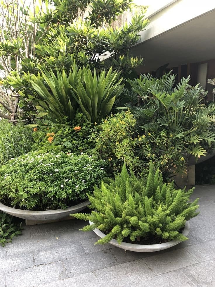 servicios de jardinería y paisajismo 2