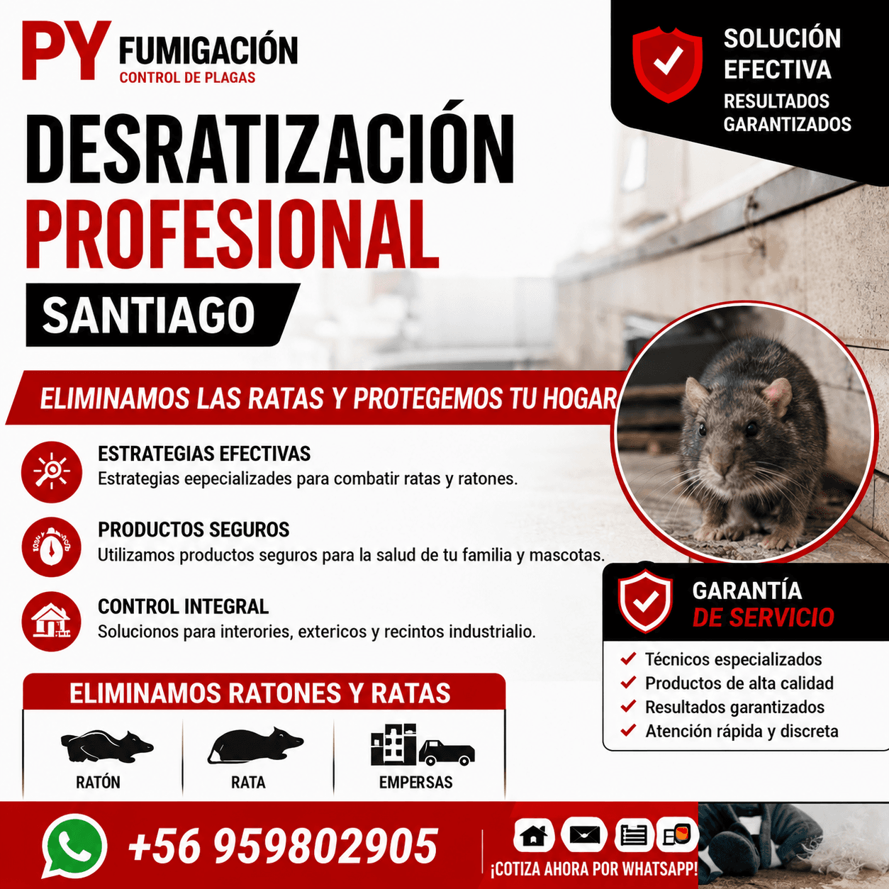 Servicio de Fumigación y Control de Plagas 3