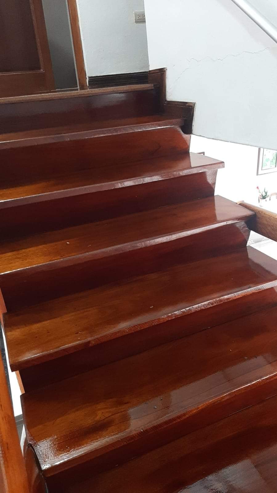Parquet Tres Raíces