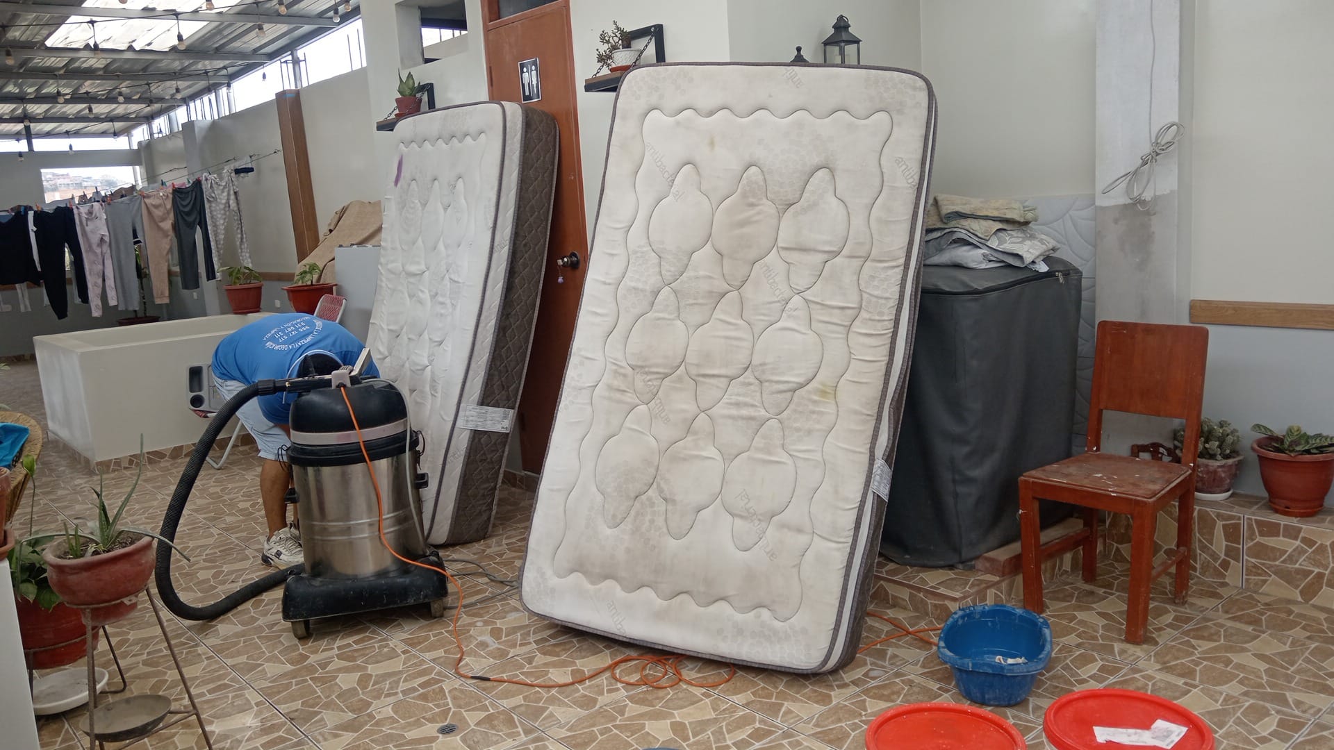 "LAVADO DE MUEBLES A DOMICILIO" 4