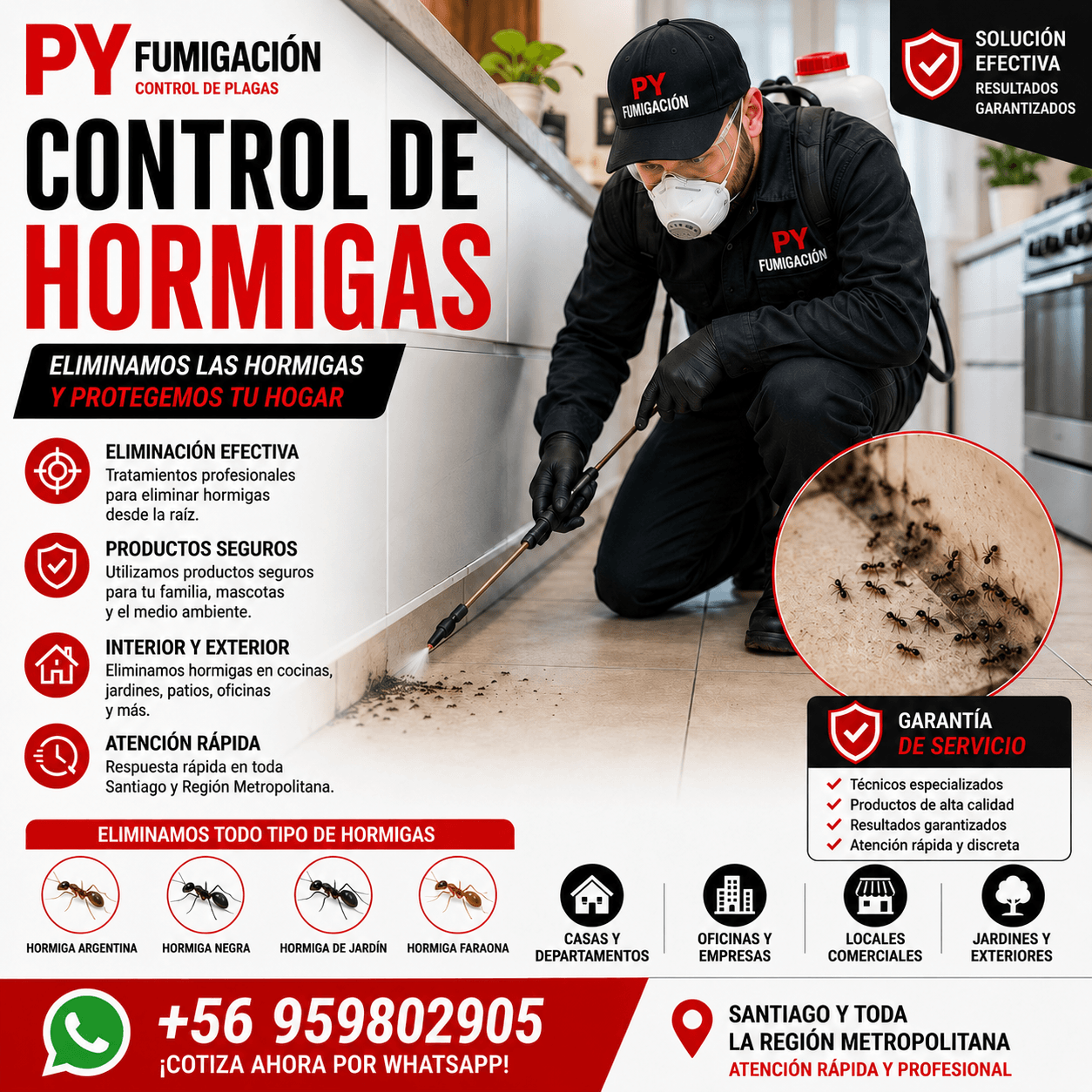Servicio de Fumigación y Control de Plagas 4