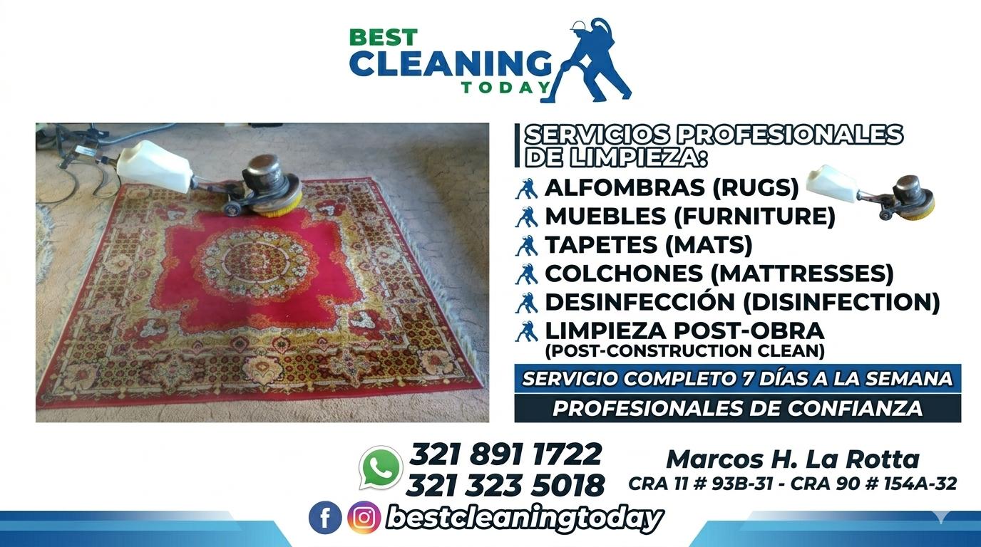 Limpieza profesional de tapetes, muebles , colchones y cortinas.