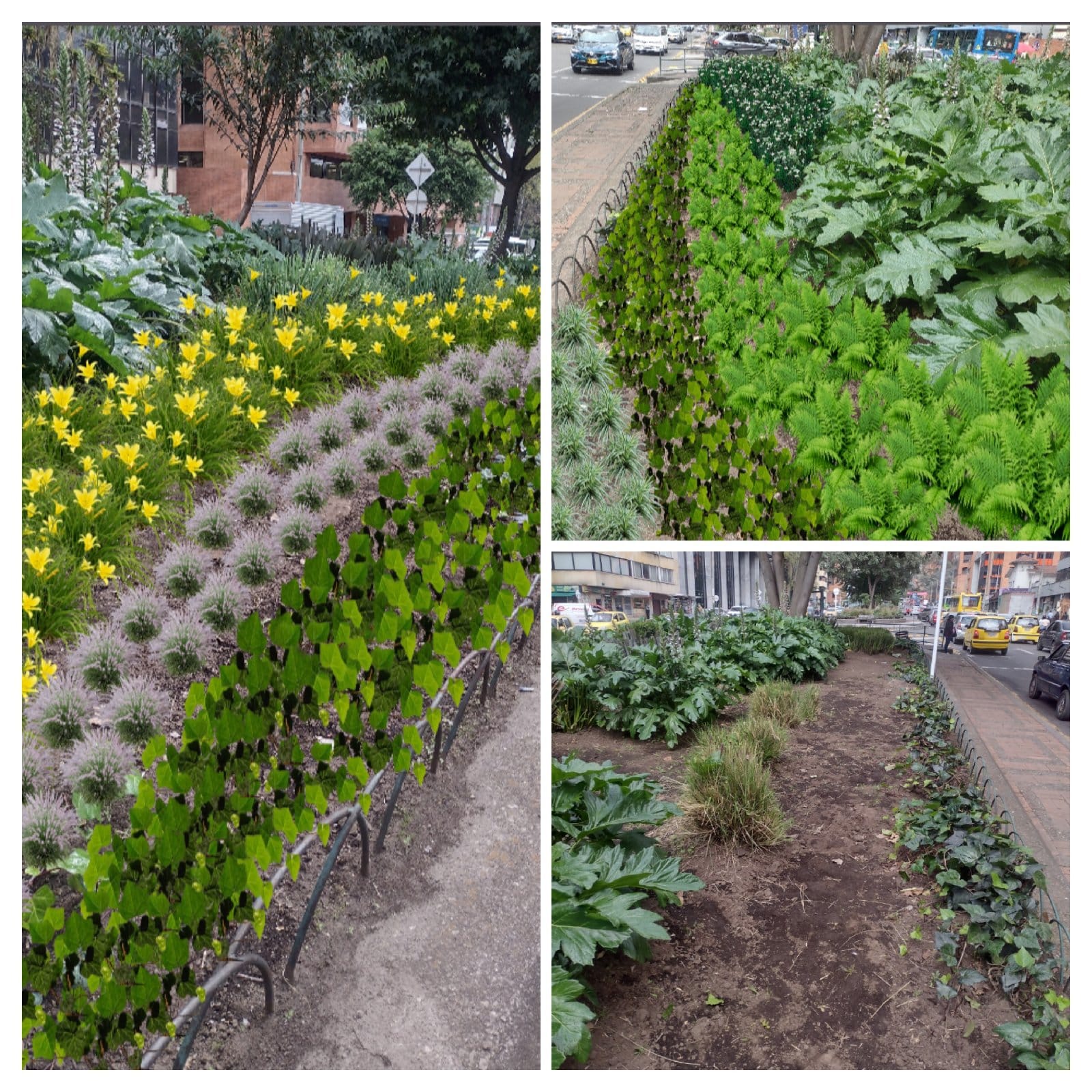 jardinería, Mantenimientos.
