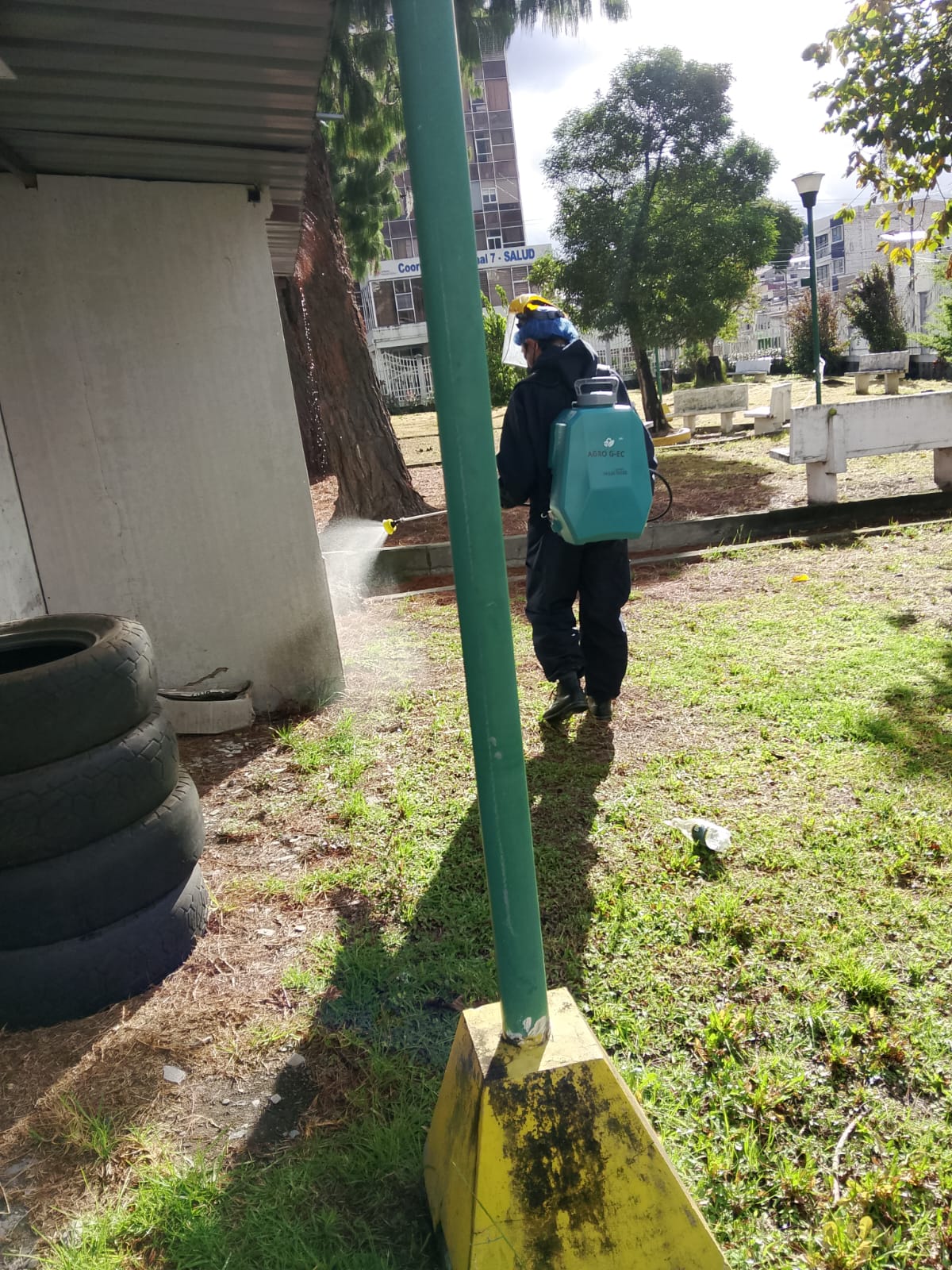 Trabajos de pintura limpieza fumigación jardinera varios servicios 2