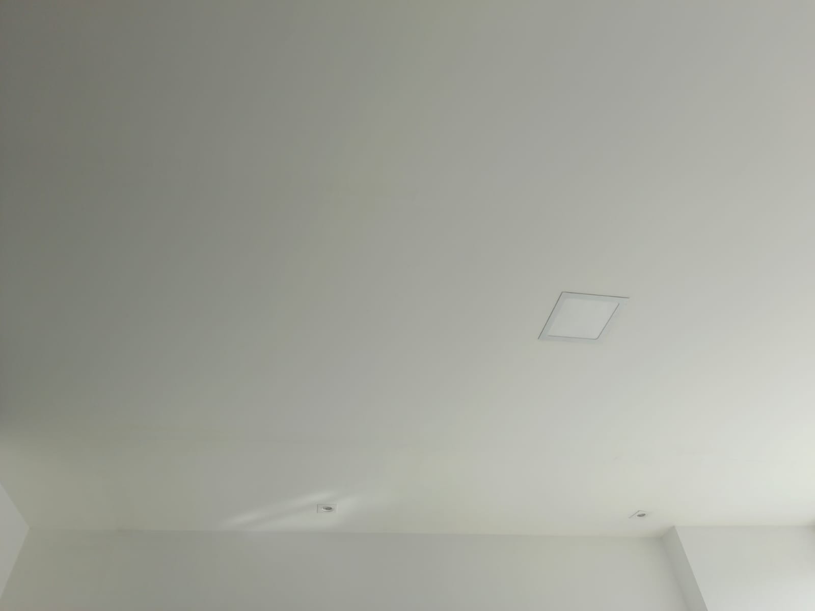 Trabajos de pintura limpieza fumigación jardinera varios servicios 4