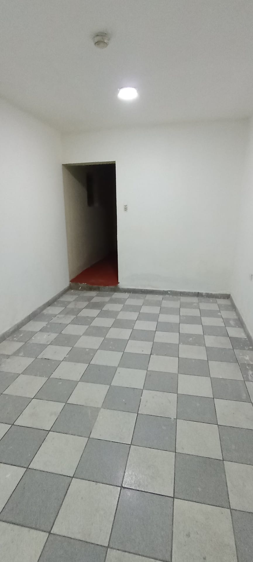 Servicios generales