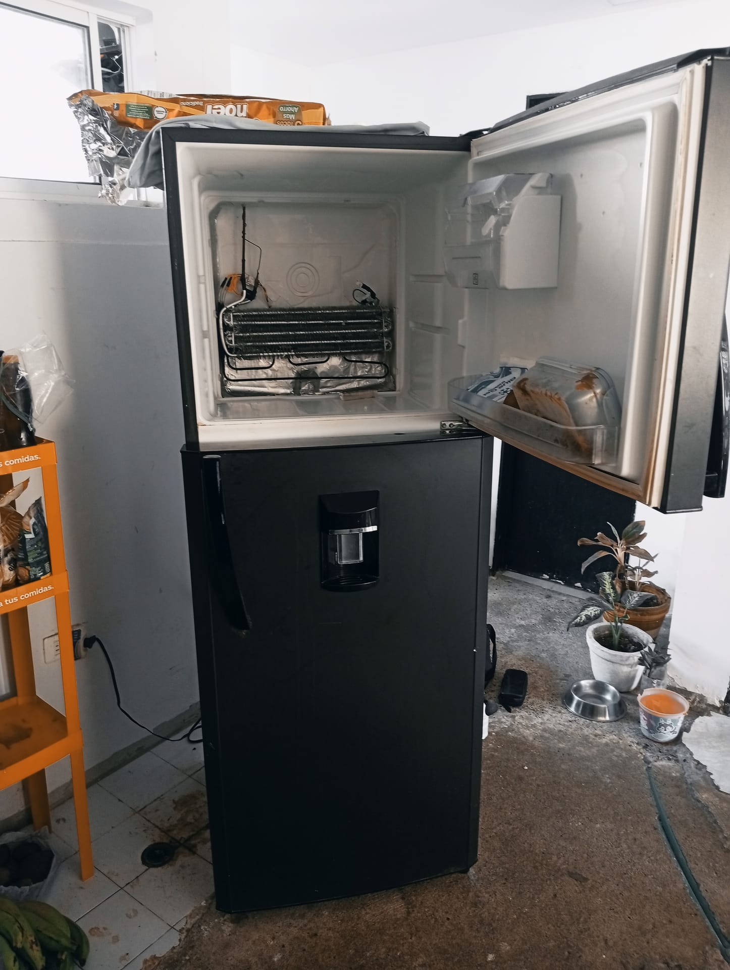 Reparación nevera y lavadora #3004254781# 3