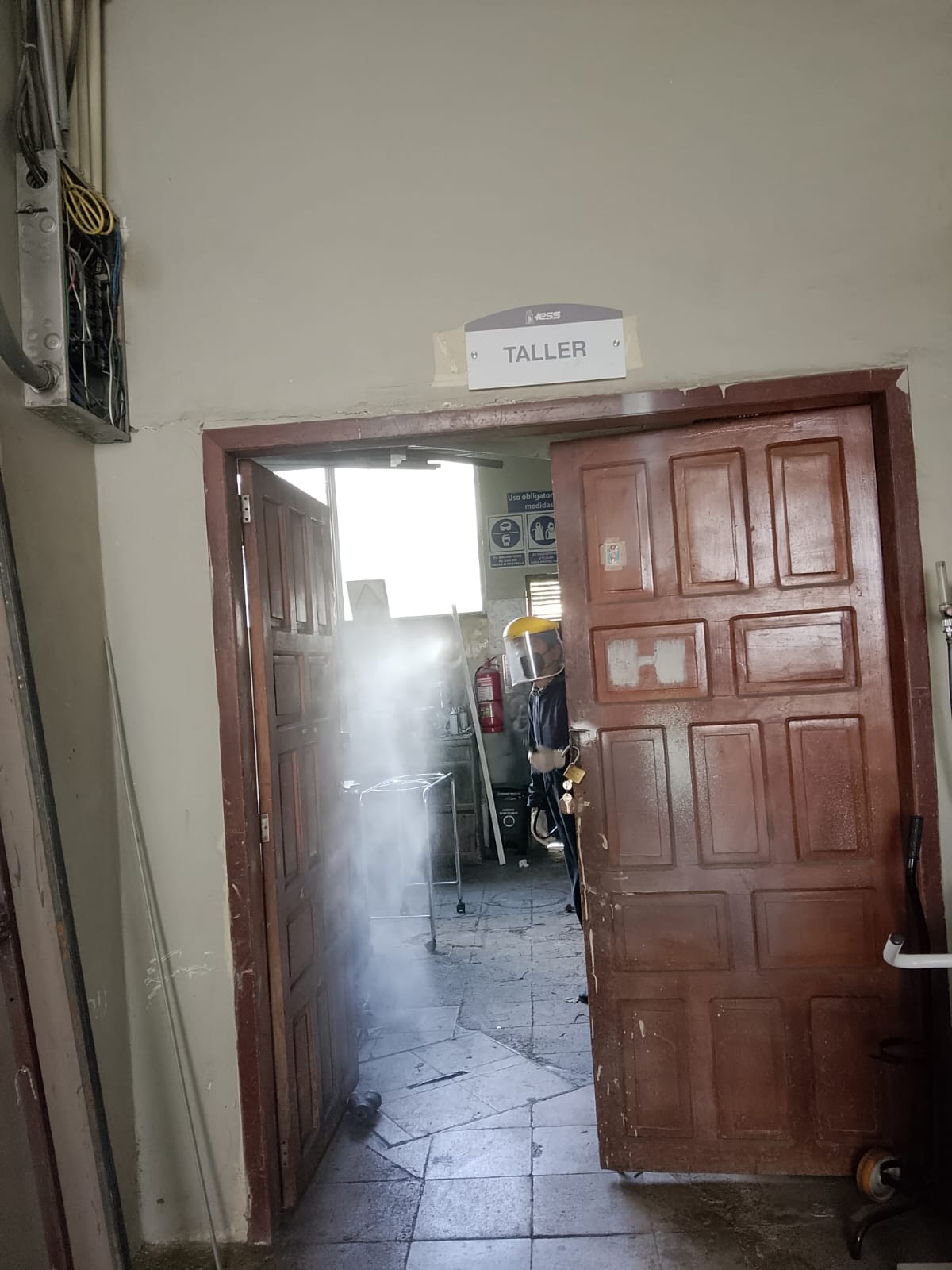 Trabajos de pintura limpieza fumigación jardinera varios servicios 1