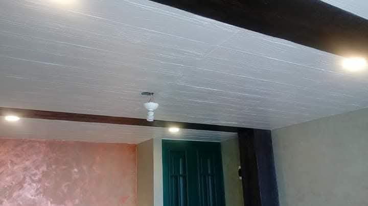 Pintura decorativas. 2