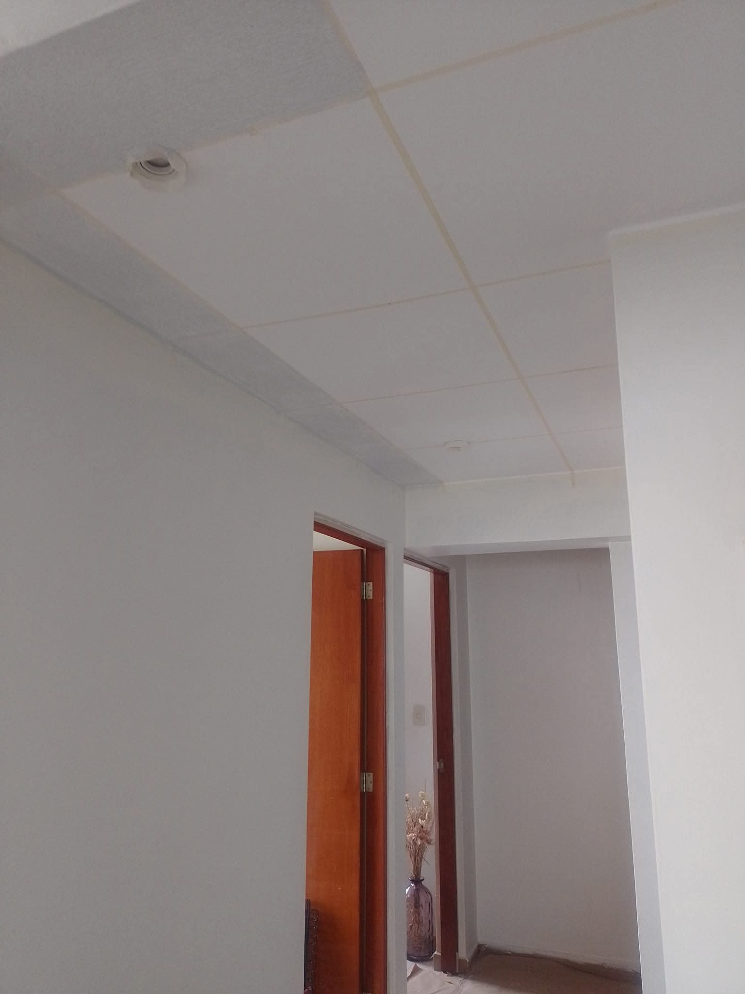 Escarchados en techos